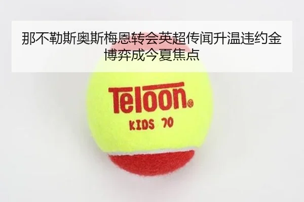 那不勒斯奥斯梅恩转会英超传闻升温违约金博弈成今夏焦点（kaiyun）